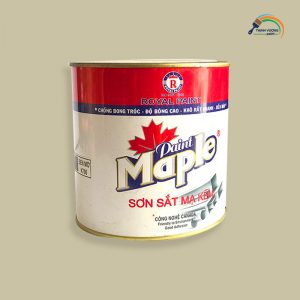 sơn bmt - sơn dak lak