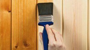 sơn bmt - sơn dak lak